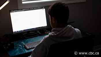 Online school will still be around post-pandemic, so what have we learned?