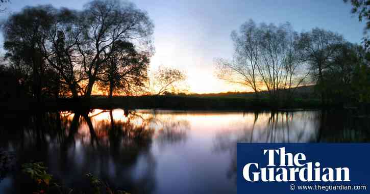 Country diary: a winter swim, and a bolt of blue