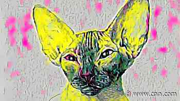 We bought an NFT. Here's what we learned