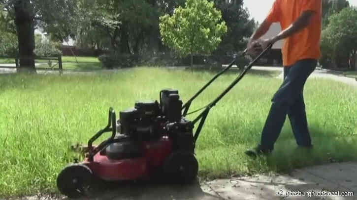 Preparing To Get Your Lawn Ready For The Upcoming Spring, Summer Seasons