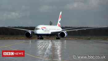Covid-19: British Airways plans app-based travel pass