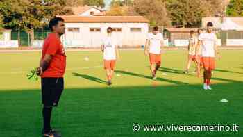 Il Matelica riceve la visita della capolista Padova - Vivere Camerino