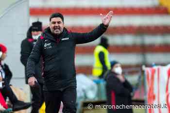 Virtus Verona sulla strada del Matelica, Colavitto: «Per vincere serve qualcosa in più» - Cronache Maceratesi