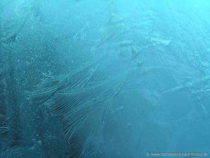 Die hochspezialisierte Branche der kryogenen Infrastrukturen