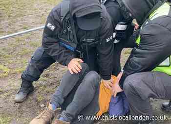 WATCH: Clashes in York Gardens tree protest