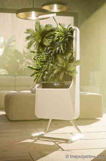 Best home decor gadgets for design lovers - Gadget Flow