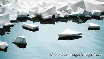 Warum sich nachhaltiges Wirtschaften auch finanziell lohnt