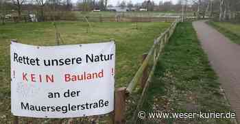 Die Stille trügt - WESER-KURIER