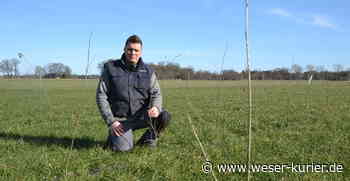 1,8 Hektar neuer Wald - WESER-KURIER