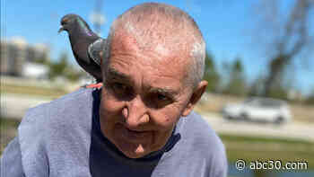 Beloved 'Bird Man' is a celebrity to people and animals