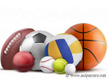 Soliera, 30 mila euro dal Comune alle associazioni sportive - SulPanaro