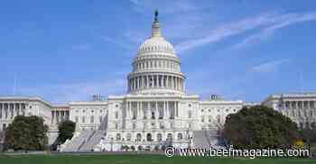 Trending Headlines: Policy changes on the way