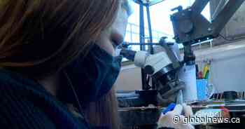 Saskatchewan teen goldsmith learning to shine bright in her field