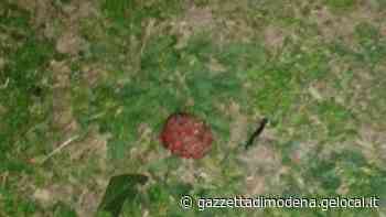 Modena. Nuovi casi nei parchi di bocconi avvelenati «Fate attenzione» - La Gazzetta di Modena