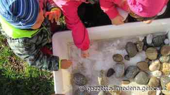 Modena. Scuole Materne, la rabbia dei sindacati «Smantellamento del sistema» - La Gazzetta di Modena