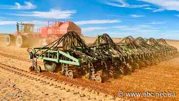 Australia-China barley row escalates to World Trade Organisation dispute panel