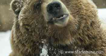 Late winter storm drops rain, freezing drizzle and lots of snow in southern Minnesota