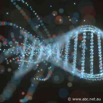 Is DNA divine?