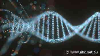 DNA