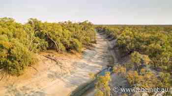 'Rights over the river but not the water': Native title holders, pastoralists lament plight of Darling-Baaka