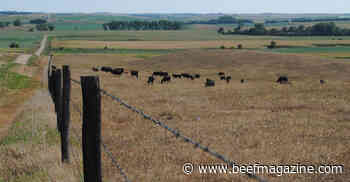 Learn to manage drought-stressed pastures