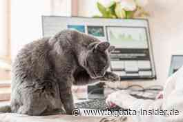 Datenbanken die schnurren, wo gibt es denn so was? - BigData-Insider