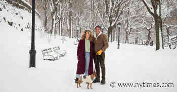 The ‘Sentimental Excess’ of Sarah Stiles