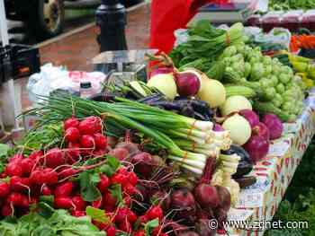 Corner stores go digital on ecommerce tailwind