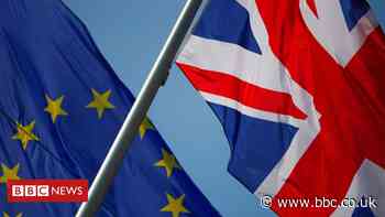 Brexit: EU to begin legal action over alleged NI Protocol breach