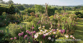 In Dorset, Jasper Conran’s Garden Runs Wild