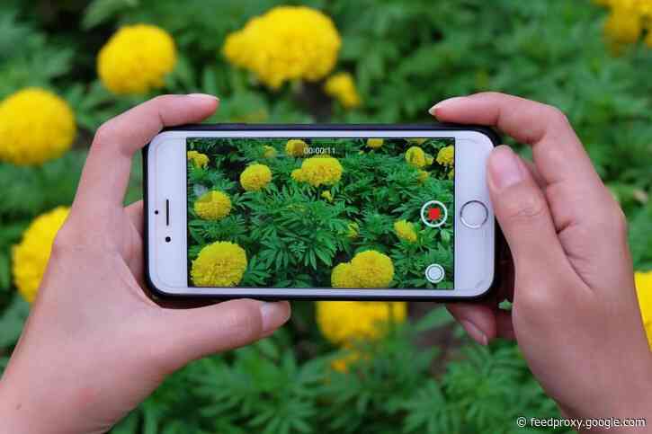 How to speed up a video on an iPhone with iMovie or the Photos app to make any video faster