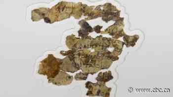 New Dead Sea scrolls found hidden in desert cave in Israel