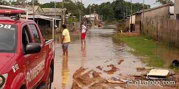 Com quase 3 mil pessoas atingidas por cheia, Rio Envira tem vazante mas continua acima da cota de inundação - G1