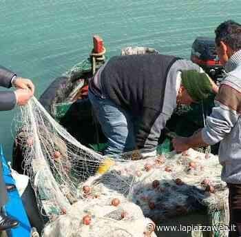 Fermo pesca, il sindaco di Porto Tolle: "Un decreto inaccettabile" - La PiazzaWeb - La Piazza