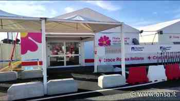 AstraZeneca, l'hub di Fiumicino fermo dopo la sospensione del vaccino - Italia - Agenzia ANSA