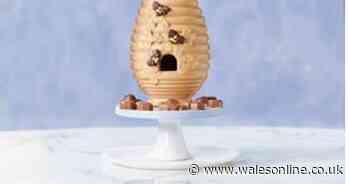 Aldi’s Beehive egg wins category at BBC Good Food’s 2021 Easter Taste Award - Wales Online