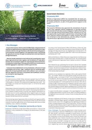 Iraq COVID-19 Food Security Monitor Bi-Weekly Update - Issue 26, 19 January 2021 [EN/AR] - Iraq - ReliefWeb