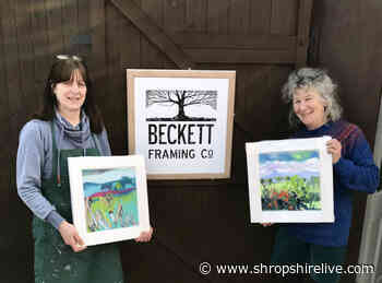 Shropshire artist raises thousands for food charities with lockdown paintings - Shropshire Live