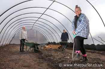Carnoustie Food is Free community garden ready to bloom once more after devastating fire - The Courier