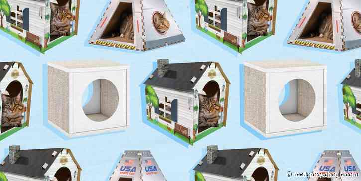 The 5 best cardboard cat houses in 2021
