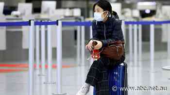 'That's unjust': Vaccine passports could be our ticket to freedom, but they're also controversial