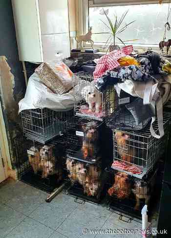 Animals found in disgraceful state rescued as warrant executed