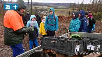 Netphen: Schüler der Ruanda AG säen den neuen Bergmischwald - Westfalenpost