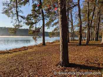 9 state parks in and around the Houston area perfect for a day trip, quick getaway - KPRC Click2Houston