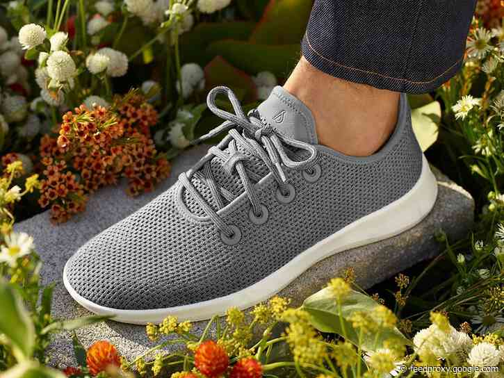 Allbirds' sustainable 'Tree' sneakers were a game-changer when they debuted in 2018 - here's how they've held up after 3 years of regular wear