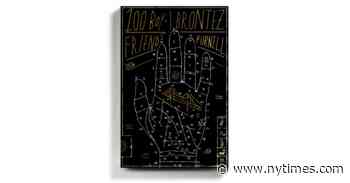 Book Review: ’100 Boyfriends,’ by Brontez Purnell