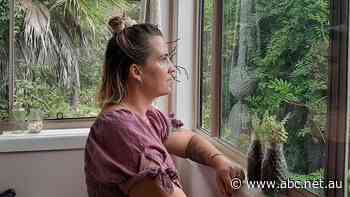 'You could live like a king or queen': Government promotes migration to regions amid rental crisis