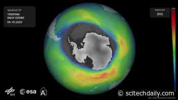 MIT Researchers Predict the Oceans Will Start Emitting Ozone-Depleting CFCs