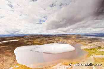 Scientists Stunned to Discover Plants Beneath Mile-Deep Greenland Ice – And Why This Is So Troubling