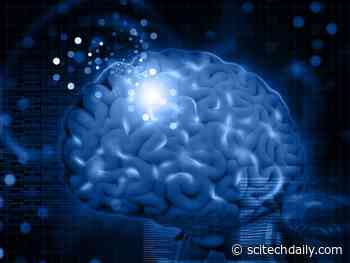 First Time Researchers Uncover How the Brain Learns From Subconscious Stimuli